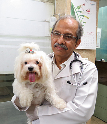 Tele Consultation for pets |Veterinary Doctor in delhi | Pet Clinic in  Delhi, Pet Grooming Parlour in Delhi , Dog Boutique in Delhi Pet shop in  Delhi, Pet Shops For Dog in